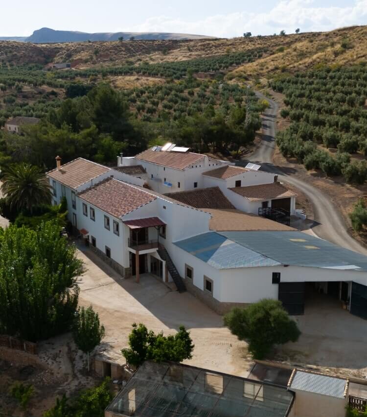 plano-aereo-bodega-anchuron